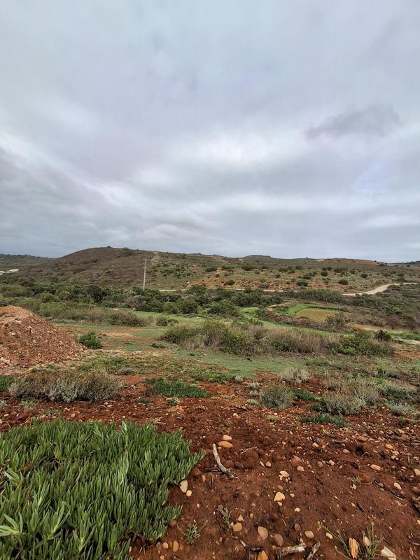 0 Bedroom Property for Sale in Outeniquasbosch Western Cape